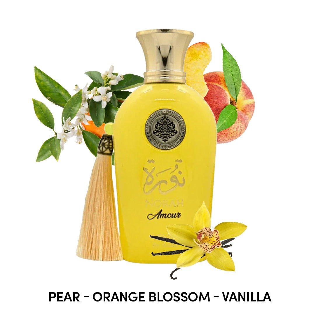 Adyan Norah Amour For Women Eau De Parfum Spray 3.4oz 3.4oz - Ezenzia