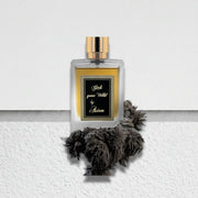 ASTEN Girls Gone Wild Eau De Parfum - Ezenzia