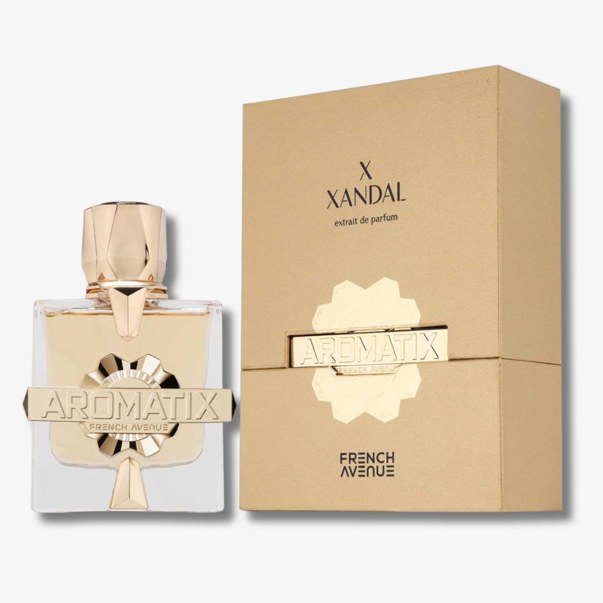 French Avenue Aromatix X - Xandal EDP Unisex - 100ml - Ezenzia